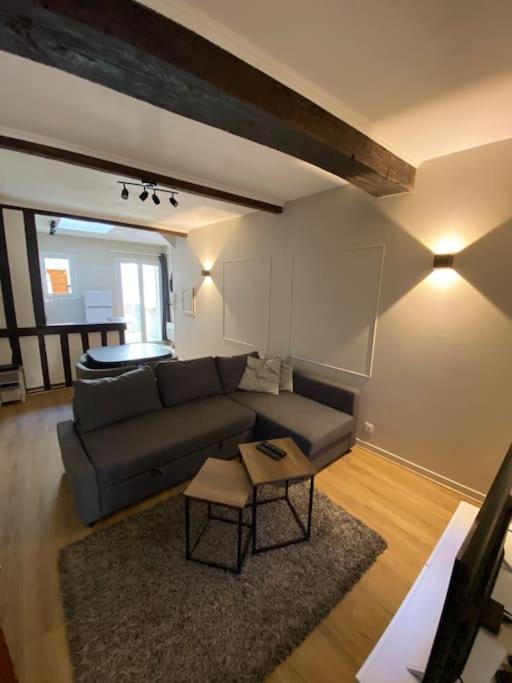 Appartement Charmant Hypercentre Avec Patio Prive Et Parking Orleans Luaran gambar